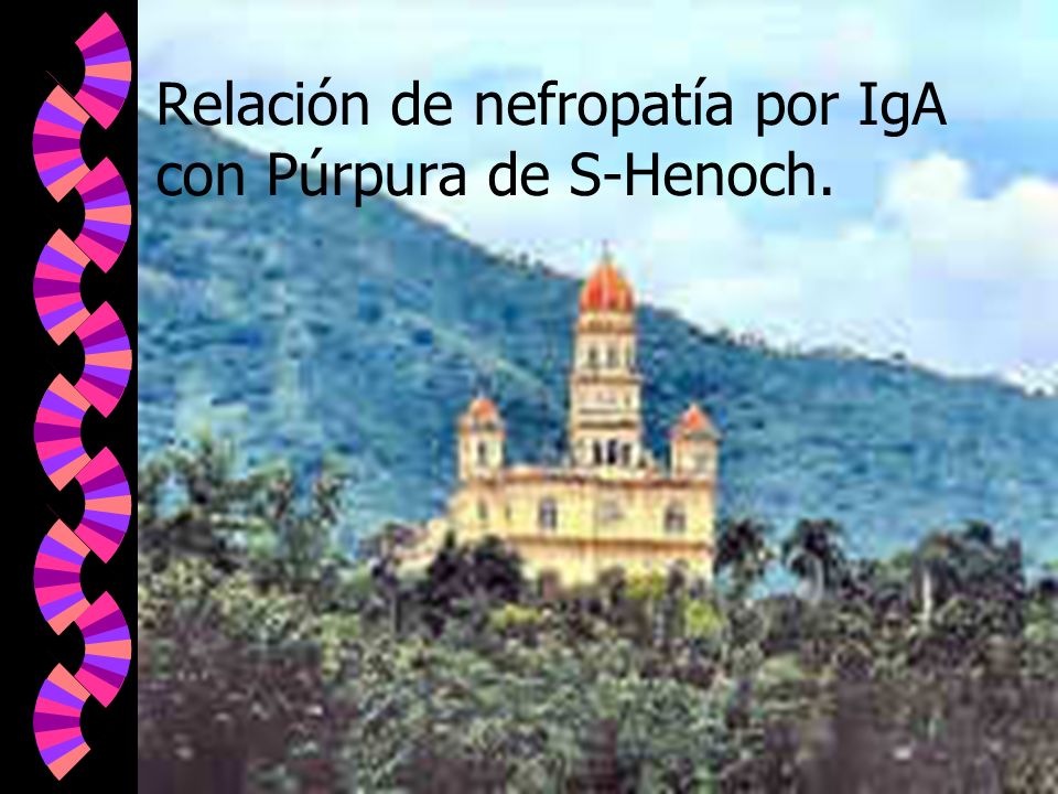 Relación de nefropatía por IgA con Púrpura de S-Henoch.
