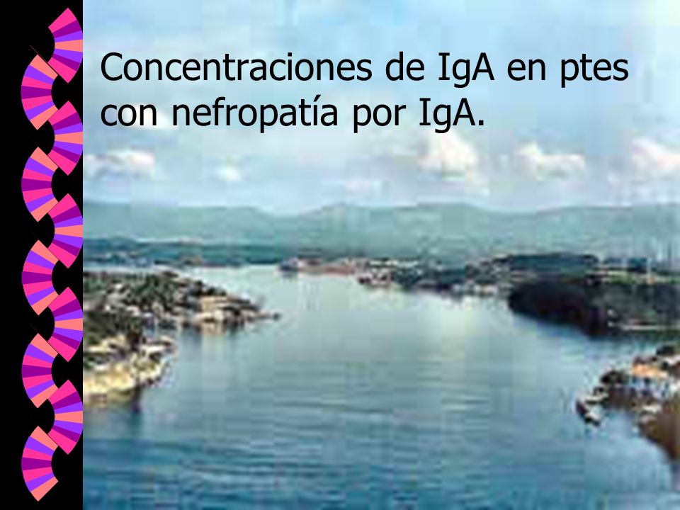 Concentraciones de IgA en ptes con nefropatía por IgA.