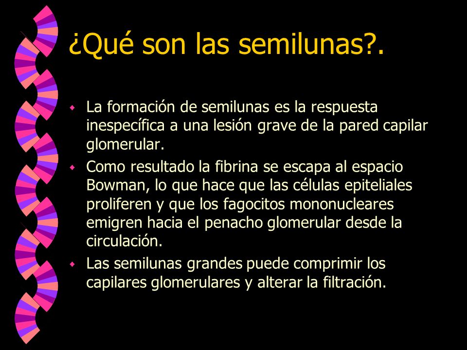 ¿Qué son las semilunas . La formación de semilunas es la respuesta inespecífica a una lesión grave de la pared capilar glomerular.