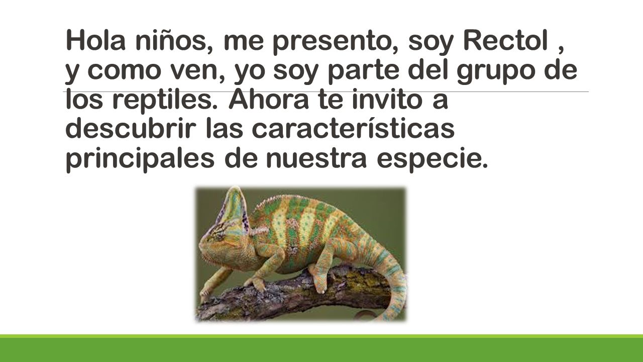 Hola niños, me presento, soy Rectol , y como ven, yo soy parte del grupo de los reptiles.