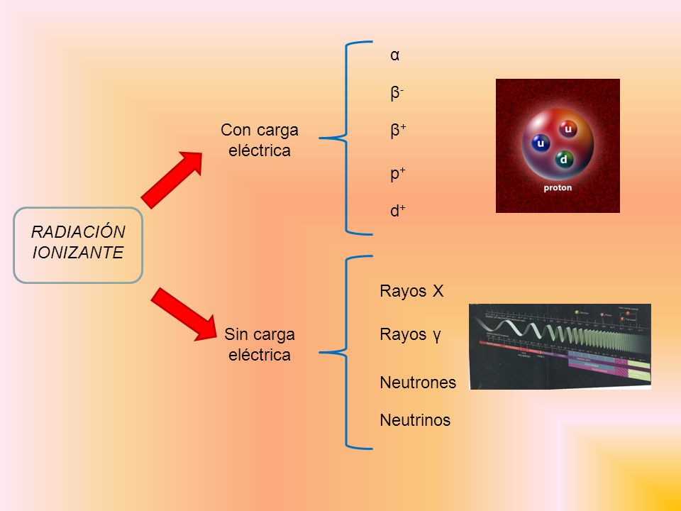 α β- Con carga eléctrica. β+ p+ d+ RADIACIÓN IONIZANTE. Rayos X. Sin carga eléctrica. Rayos γ.