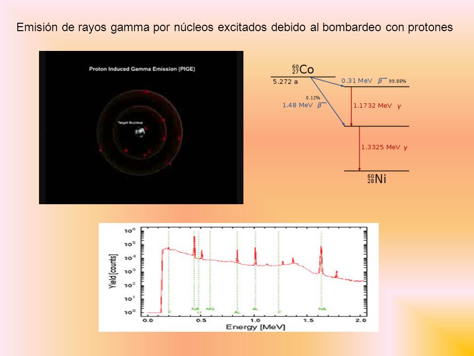 Emisión de rayos gamma por núcleos excitados debido al bombardeo con protones