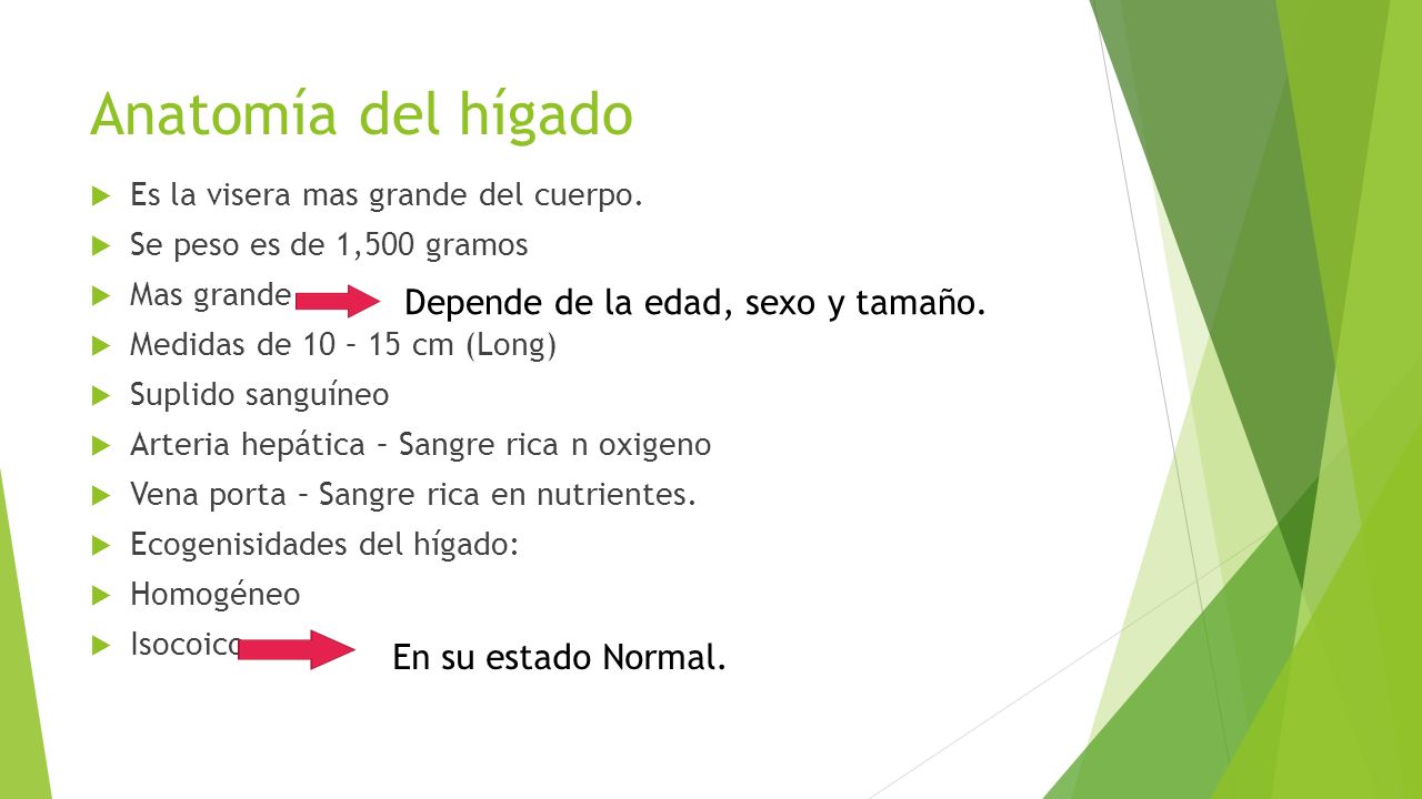Anatomía del hígado Depende de la edad, sexo y tamaño.