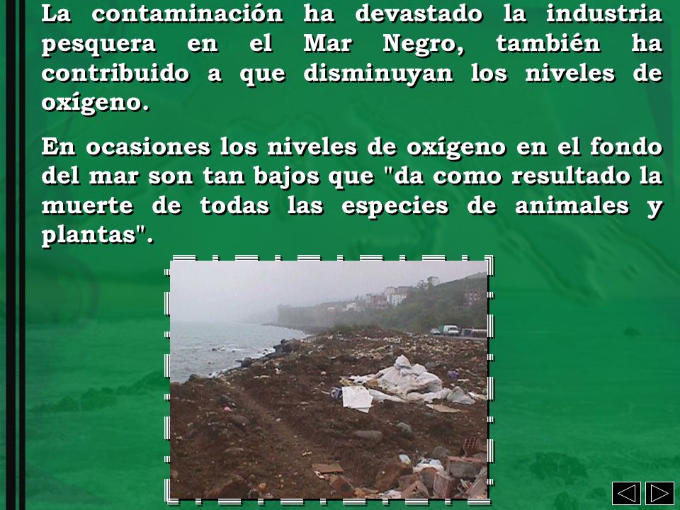 La contaminación ha devastado la industria pesquera en el Mar Negro, también ha contribuido a que disminuyan los niveles de oxígeno.