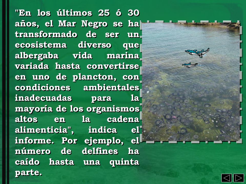 En los últimos 25 ó 30 años, el Mar Negro se ha transformado de ser un ecosistema diverso que albergaba vida marina variada hasta convertirse en uno de plancton, con condiciones ambientales inadecuadas para la mayoría de los organismos altos en la cadena alimenticia , indica el informe.