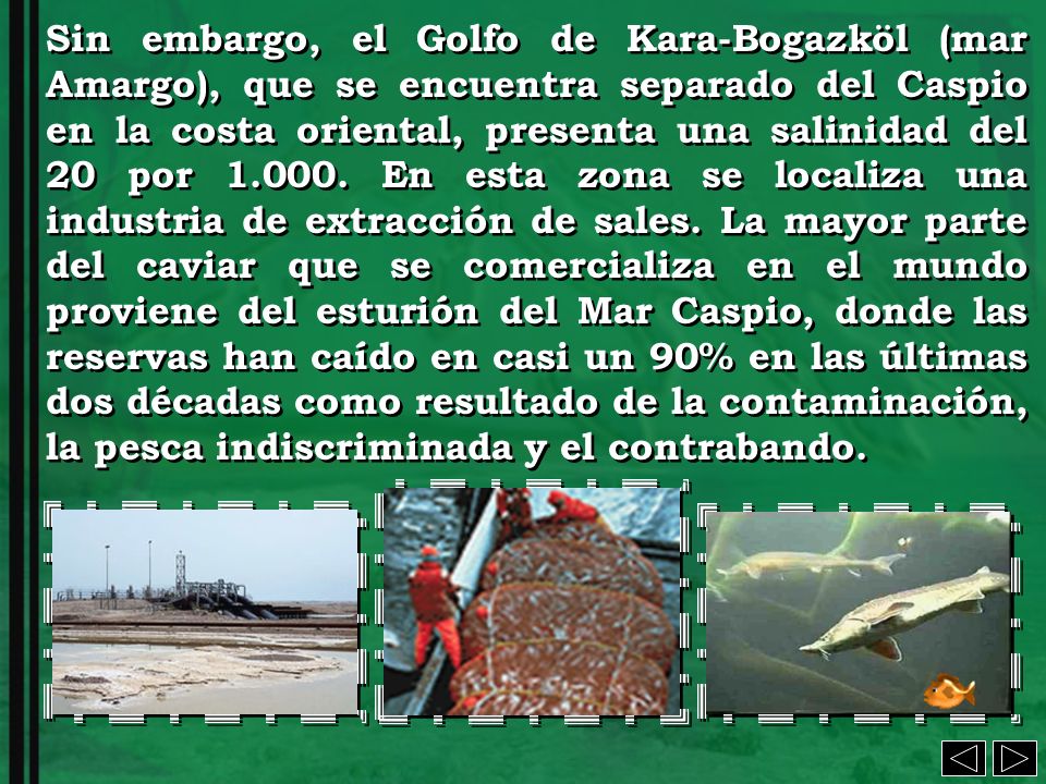 Sin embargo, el Golfo de Kara-Bogazköl (mar Amargo), que se encuentra separado del Caspio en la costa oriental, presenta una salinidad del 20 por