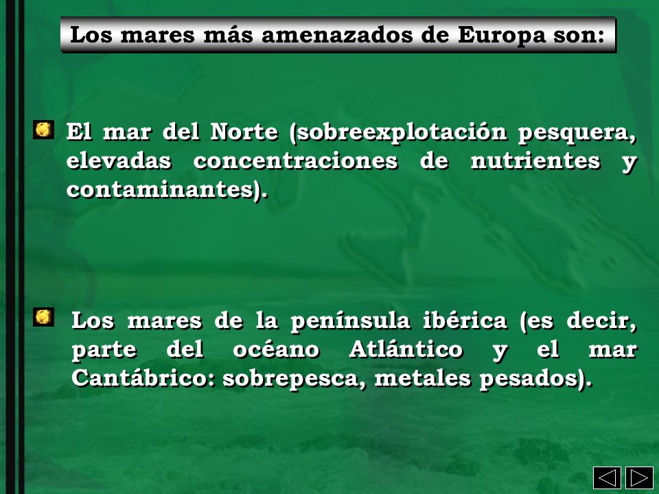 Los mares más amenazados de Europa son: