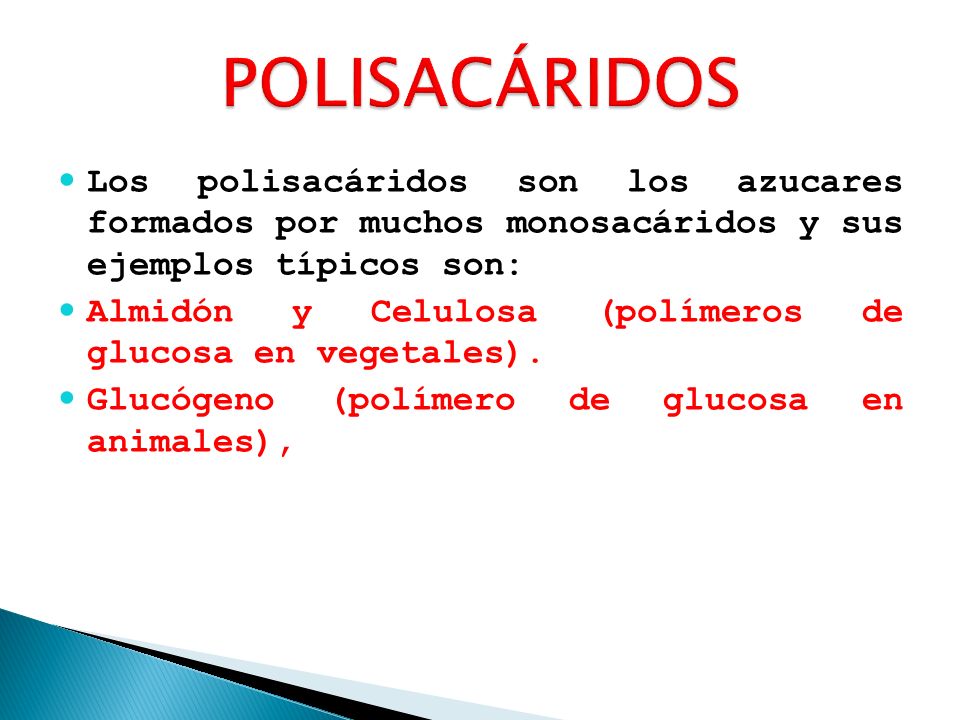 POLISACÁRIDOS Los polisacáridos son los azucares formados por muchos monosacáridos y sus ejemplos típicos son: