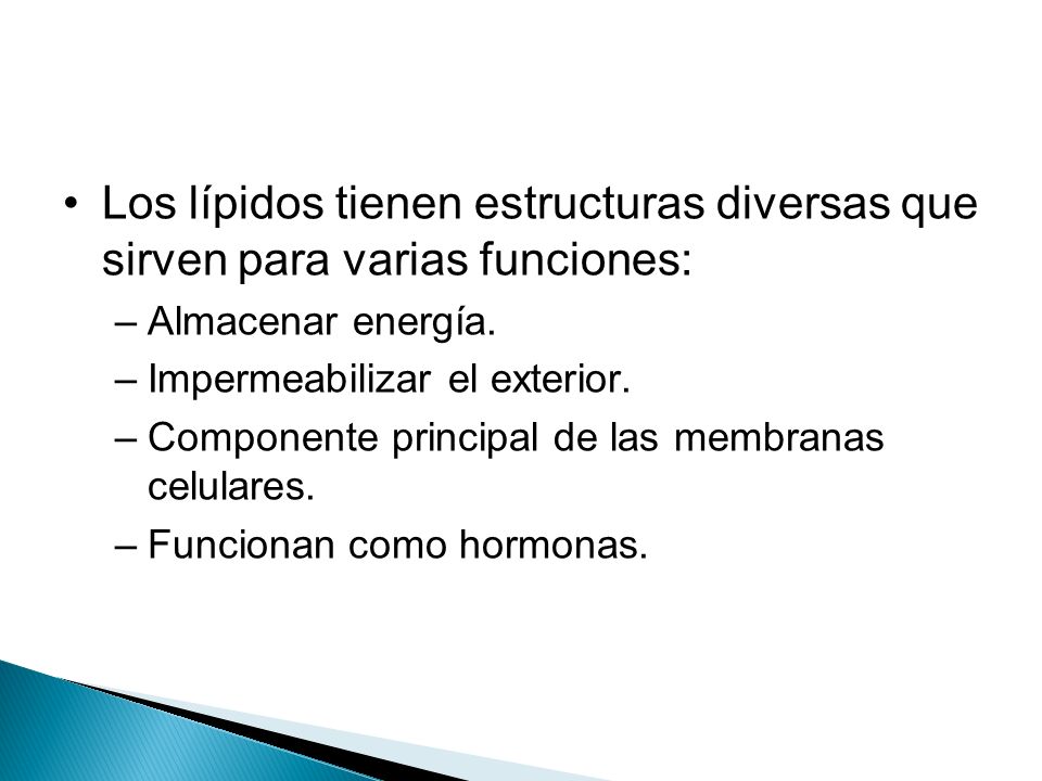 Los lípidos tienen estructuras diversas que sirven para varias funciones:
