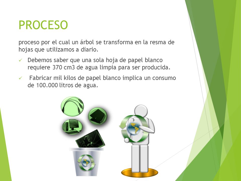 PROCESO proceso por el cual un árbol se transforma en la resma de hojas que utilizamos a diario.