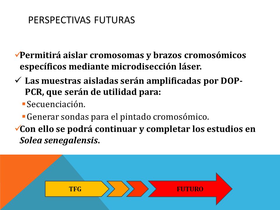 Perspectivas Futuras Permitirá aislar cromosomas y brazos cromosómicos específicos mediante microdisección láser.