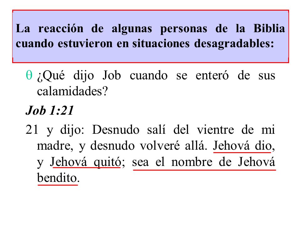 ¿Qué dijo Job cuando se enteró de sus calamidades Job 1:21
