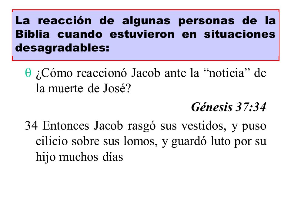 ¿Cómo reaccionó Jacob ante la noticia de la muerte de José