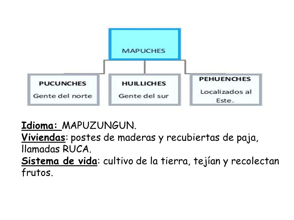 Idioma: MAPUZUNGUN. Viviendas: postes de maderas y recubiertas de paja, llamadas RUCA.