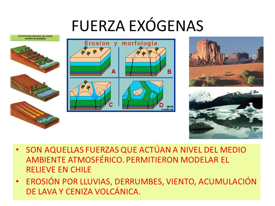 FUERZA EXÓGENAS SON AQUELLAS FUERZAS QUE ACTÚAN A NIVEL DEL MEDIO AMBIENTE ATMOSFÉRICO. PERMITIERON MODELAR EL RELIEVE EN CHILE.