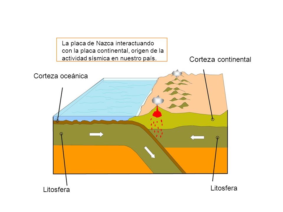 Corteza continental Origen y evolución Corteza oceánica Litosfera
