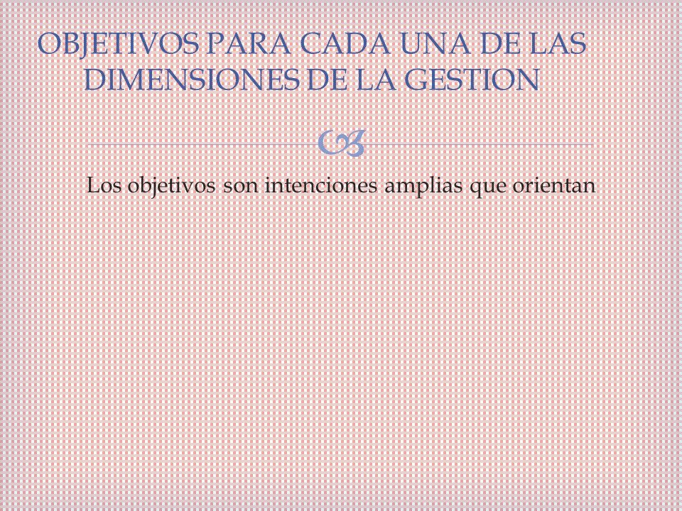 OBJETIVOS PARA CADA UNA DE LAS DIMENSIONES DE LA GESTION