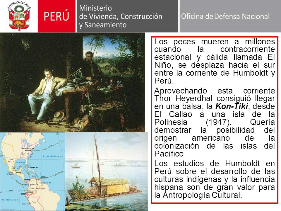 Los peces mueren a millones cuando la contracorriente estacional y cálida llamada El Niño, se desplaza hacia el sur entre la corriente de Humboldt y Perú.