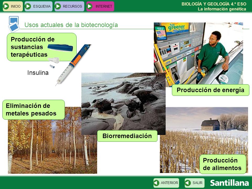 Producción de energía Biorremediación