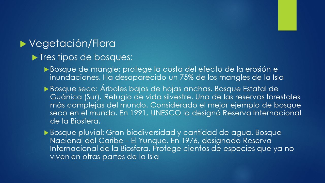 Vegetación/Flora Tres tipos de bosques: