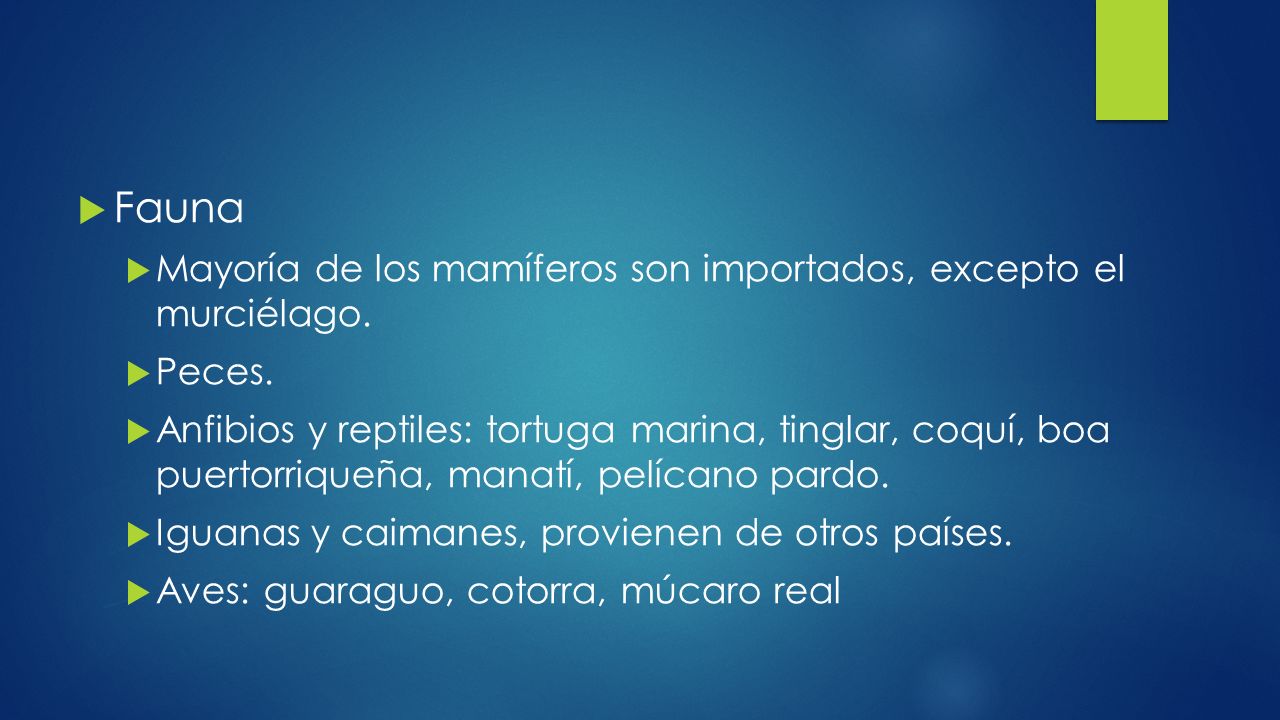Fauna Mayoría de los mamíferos son importados, excepto el murciélago.