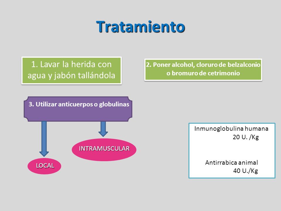 Tratamiento 1. Lavar la herida con agua y jabón tallándola