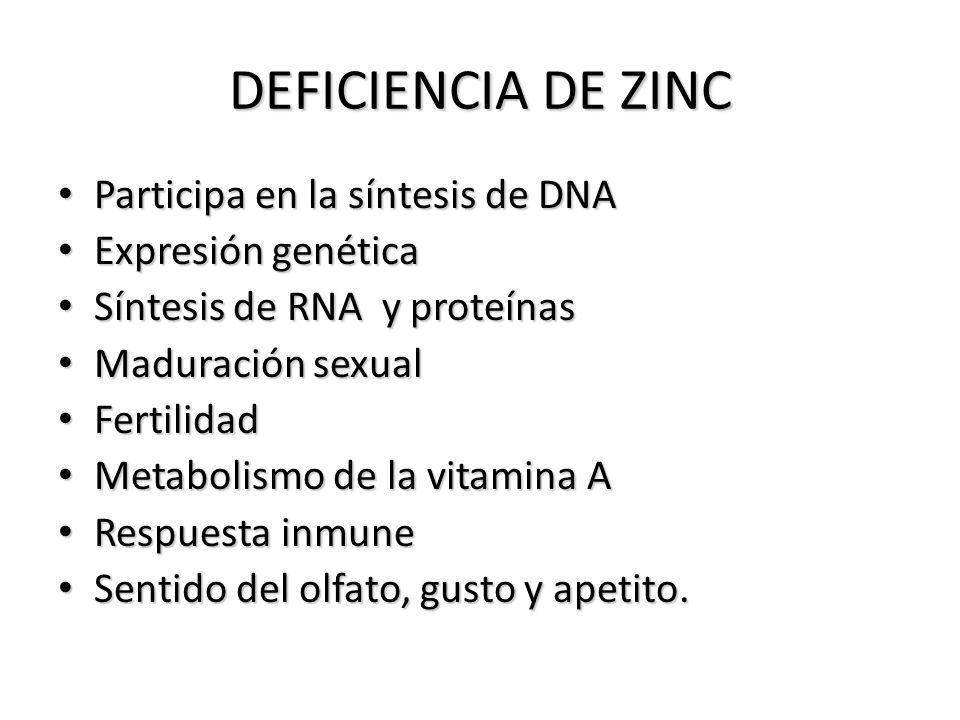 DEFICIENCIA DE ZINC Participa en la síntesis de DNA Expresión genética