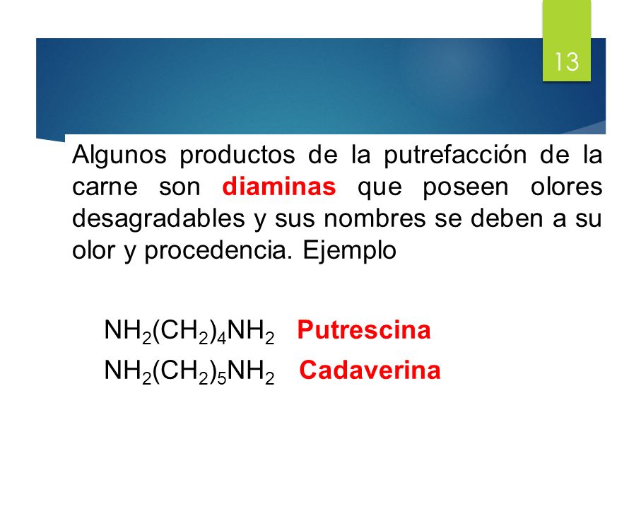 Algunos productos de la putrefacción de la carne son diaminas que poseen olores desagradables y sus nombres se deben a su olor y procedencia.