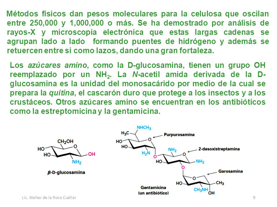 Métodos físicos dan pesos moleculares para la celulosa que oscilan entre 250,000 y 1,000,000 o más. Se ha demostrado por análisis de rayos-X y microscopia electrónica que estas largas cadenas se agrupan lado a lado formando puentes de hidrógeno y además se retuercen entre si como lazos, dando una gran fortaleza.