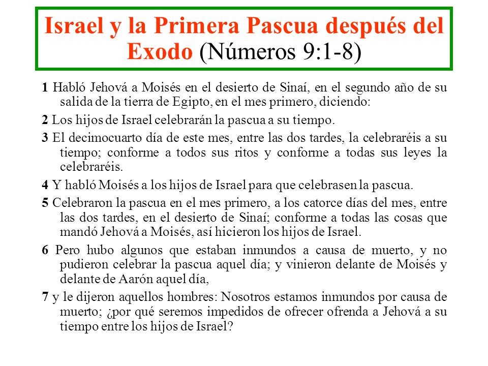 Israel y la Primera Pascua después del Exodo (Números 9:1-8)
