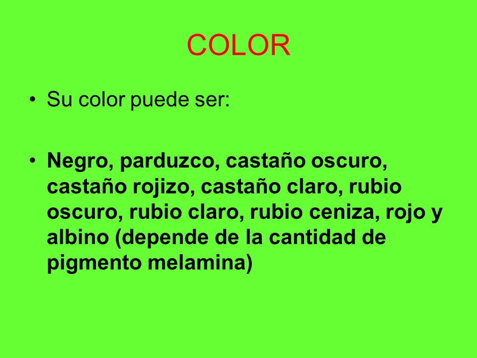 COLOR Su color puede ser: