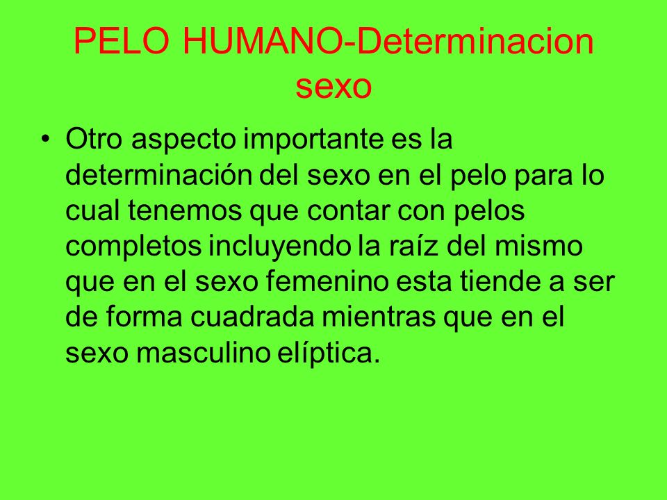 PELO HUMANO-Determinacion sexo