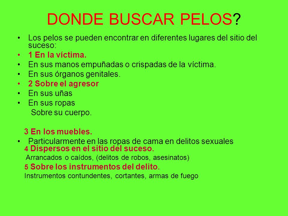 DONDE BUSCAR PELOS Los pelos se pueden encontrar en diferentes lugares del sitio del suceso: 1 En la víctima.
