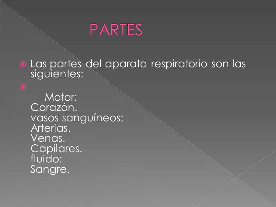 PARTES Las partes del aparato respiratorio son las siguientes: