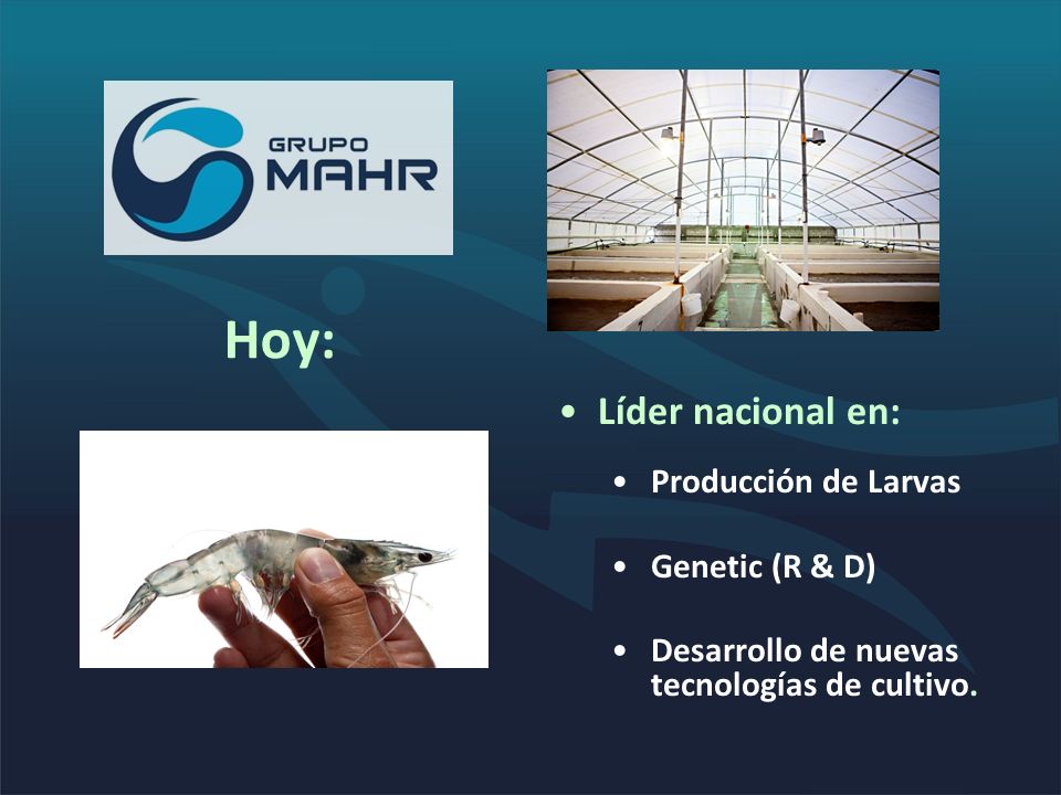 Hoy: Líder nacional en: Producción de Larvas Genetic (R & D)