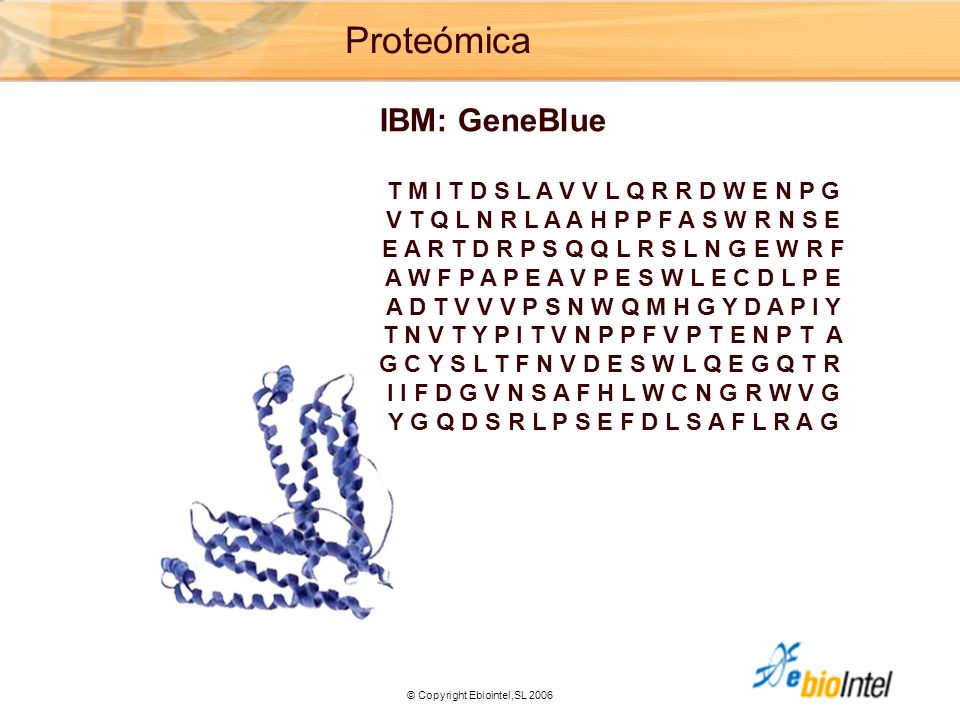 Proteómica IBM: GeneBlue T M I T D S L A V V L Q R R D W E N P G
