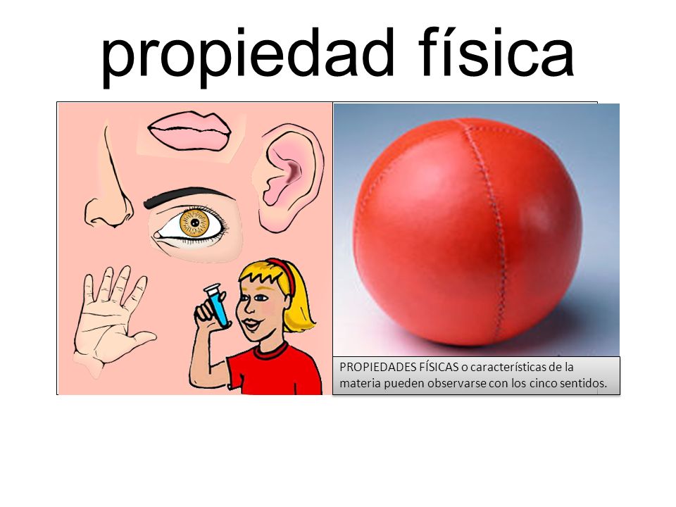 propiedad física PROPIEDADES FÍSICAS o características de la materia pueden observarse con los cinco sentidos.