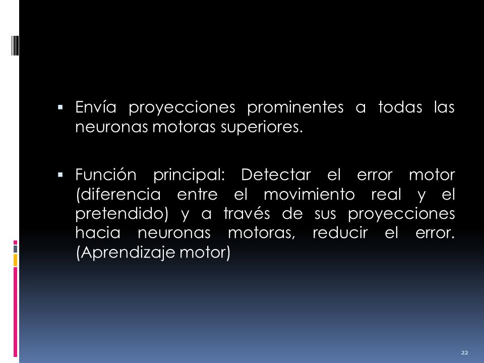 Envía proyecciones prominentes a todas las neuronas motoras superiores.