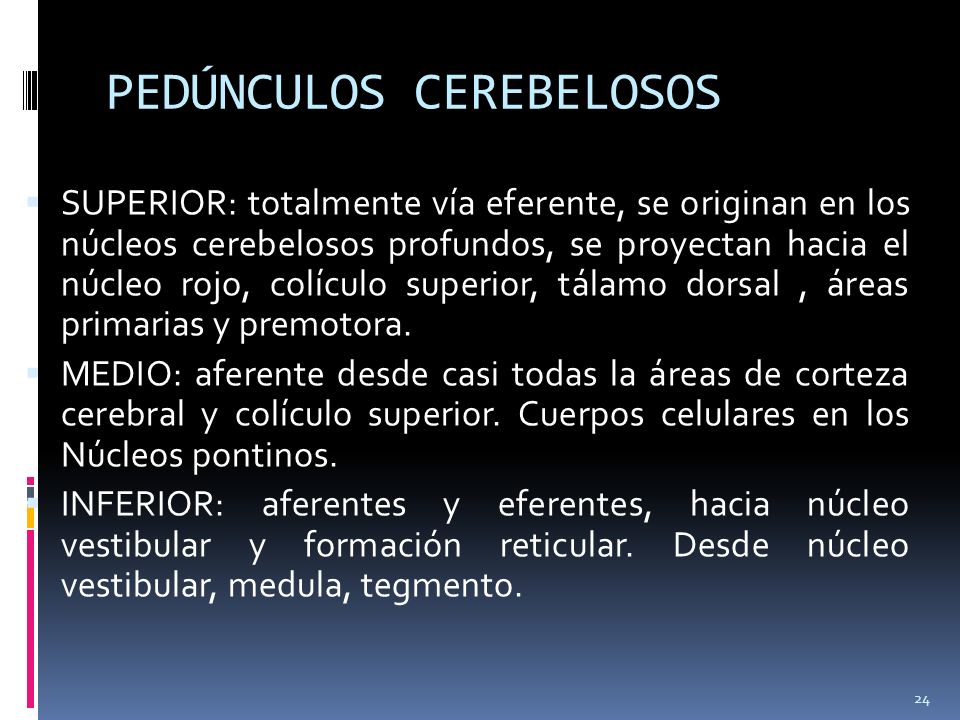 PEDÚNCULOS CEREBELOSOS