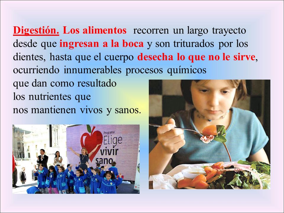 Digestión. Los alimentos recorren un largo trayecto desde que ingresan a la boca y son triturados por los dientes, hasta que el cuerpo desecha lo que no le sirve, ocurriendo innumerables procesos químicos