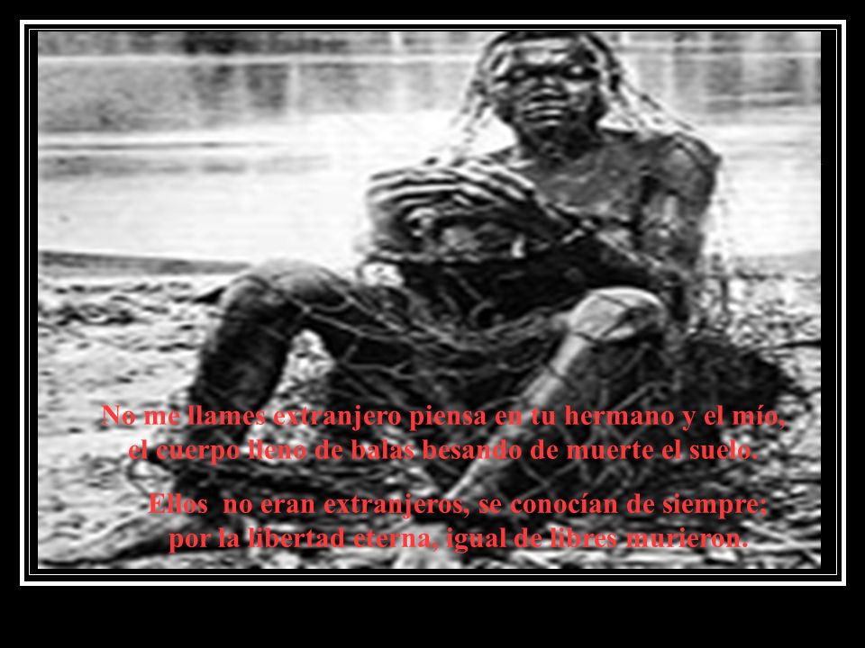 No me llames extranjero piensa en tu hermano y el mío, el cuerpo lleno de balas besando de muerte el suelo.