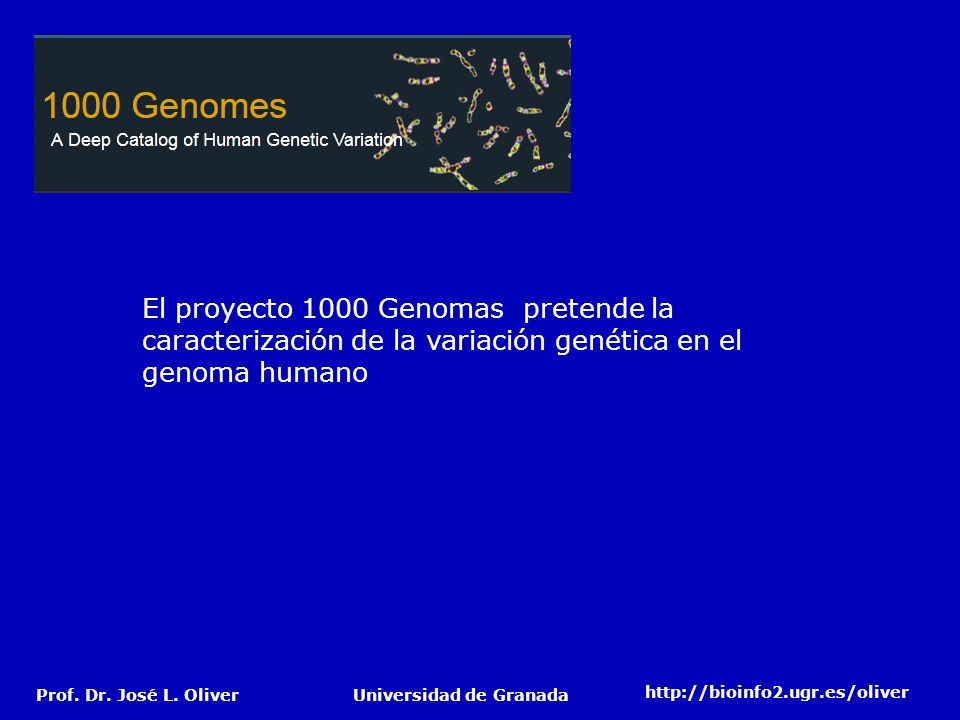 El proyecto 1000 Genomas pretende la caracterización de la variación genética en el genoma humano
