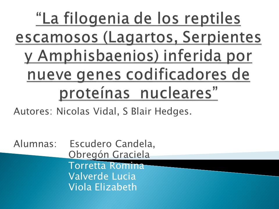 La filogenia de los reptiles escamosos (Lagartos, Serpientes y Amphisbaenios) inferida por nueve genes codificadores de proteínas nucleares