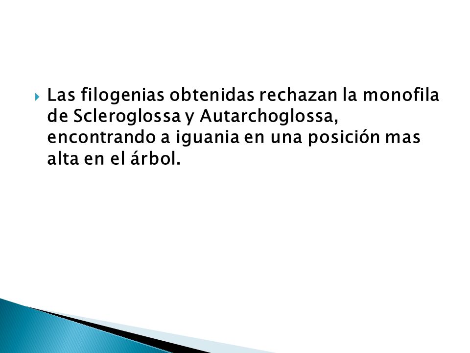 Las filogenias obtenidas rechazan la monofila de Scleroglossa y Autarchoglossa, encontrando a iguania en una posición mas alta en el árbol.