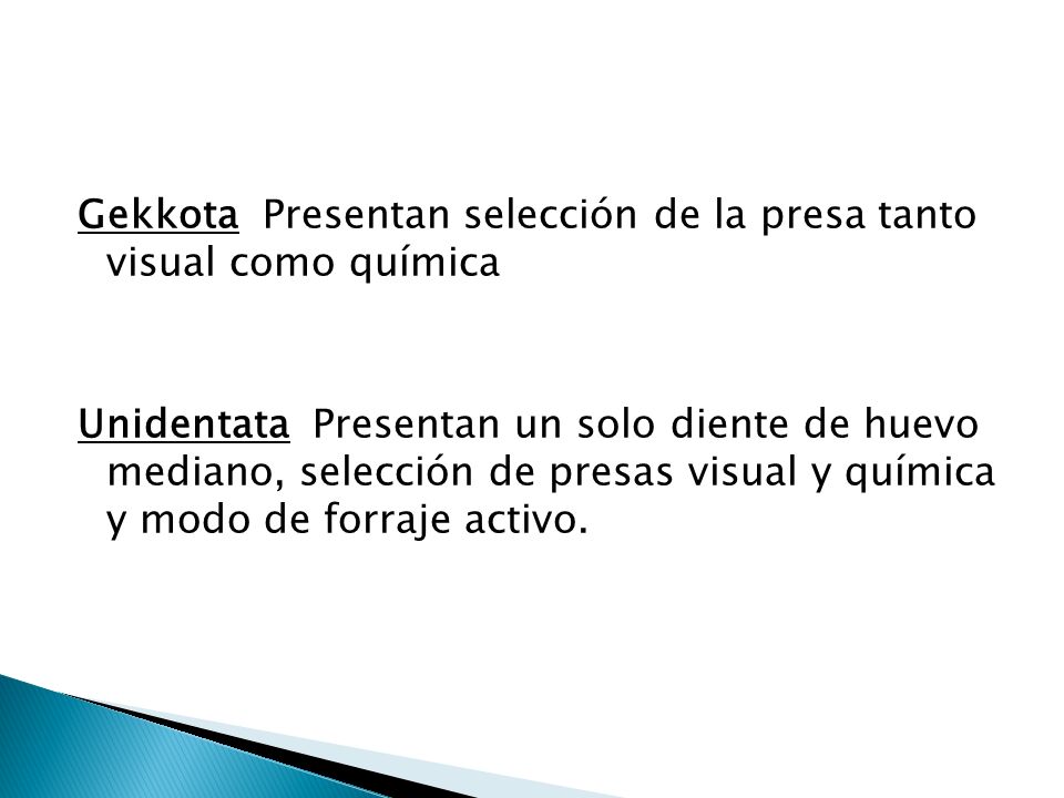 Gekkota Presentan selección de la presa tanto visual como química Unidentata Presentan un solo diente de huevo mediano, selección de presas visual y química y modo de forraje activo.