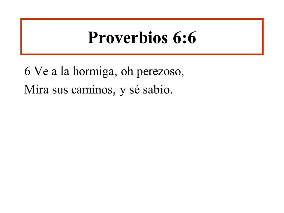 Proverbios 6:6 6 Ve a la hormiga, oh perezoso,
