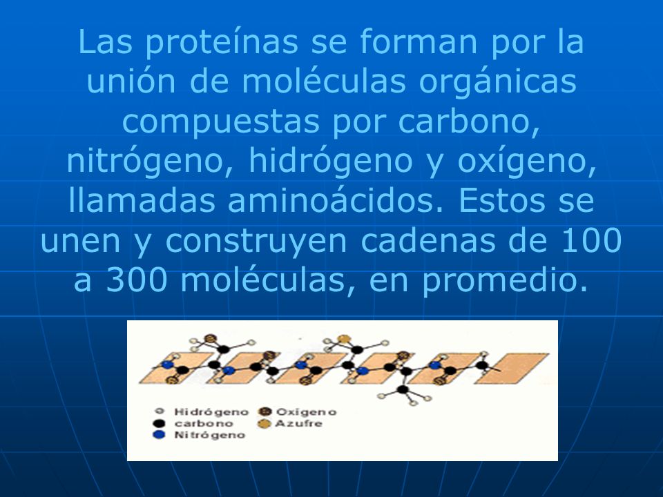 Las proteínas se forman por la unión de moléculas orgánicas compuestas por carbono, nitrógeno, hidrógeno y oxígeno, llamadas aminoácidos.