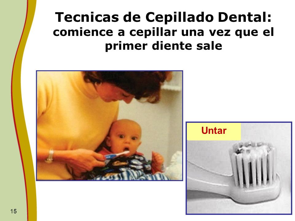 Tecnicas de Cepillado Dental: comience a cepillar una vez que el primer diente sale