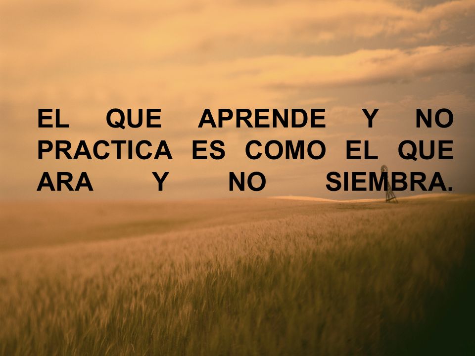 EL QUE APRENDE Y NO PRACTICA ES COMO EL QUE ARA Y NO SIEMBRA.