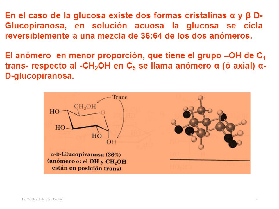 En el caso de la glucosa existe dos formas cristalinas α y β D-Glucopiranosa, en solución acuosa la glucosa se cicla reversiblemente a una mezcla de 36:64 de los dos anómeros.